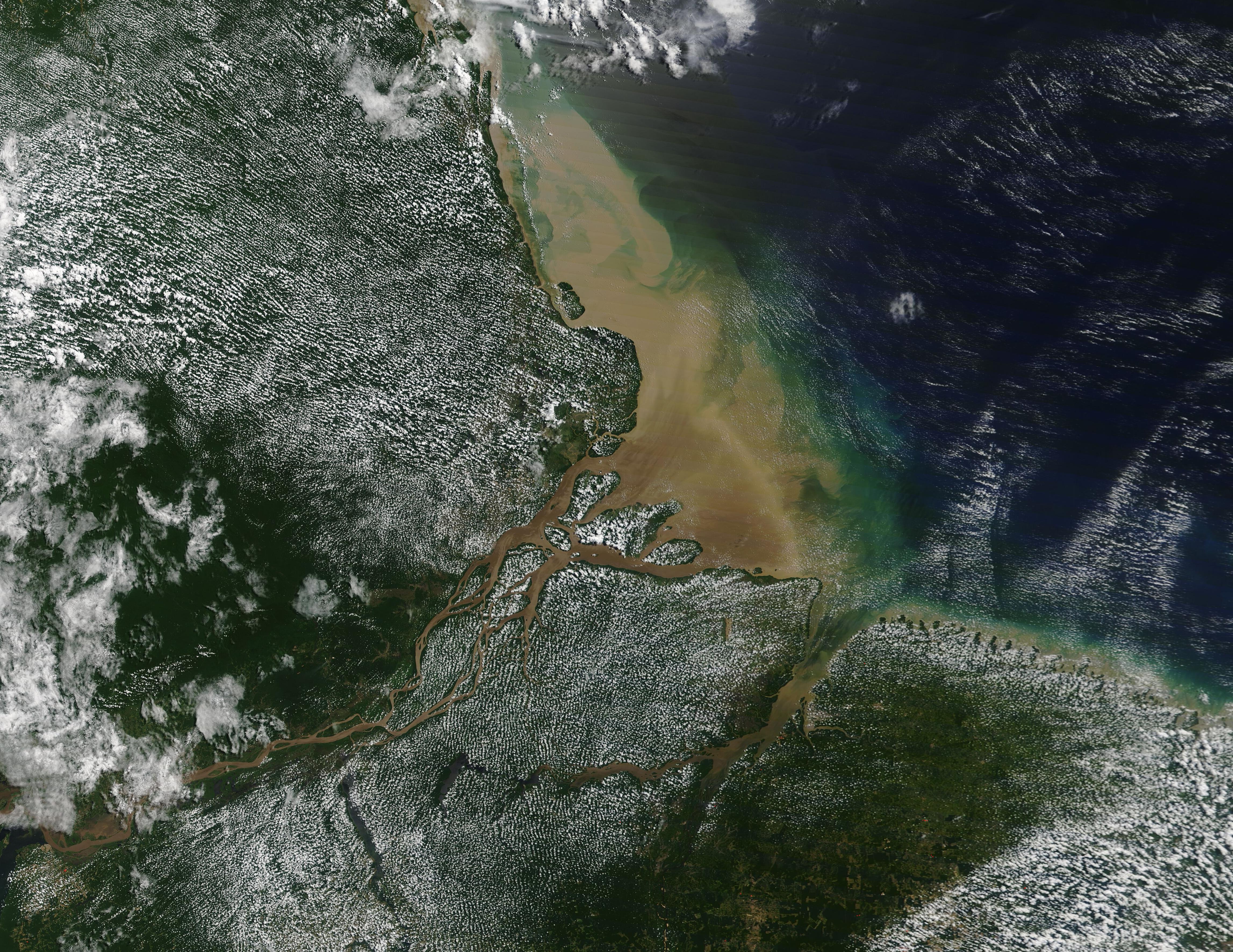 Delta Amazonului văzută de satelitul MODIS, august 2020