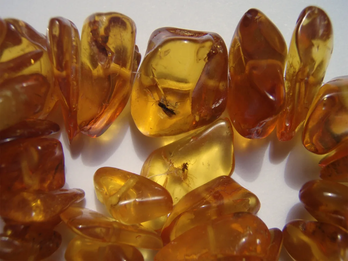 Yellow amber beads; two of them show insects trapped inside.