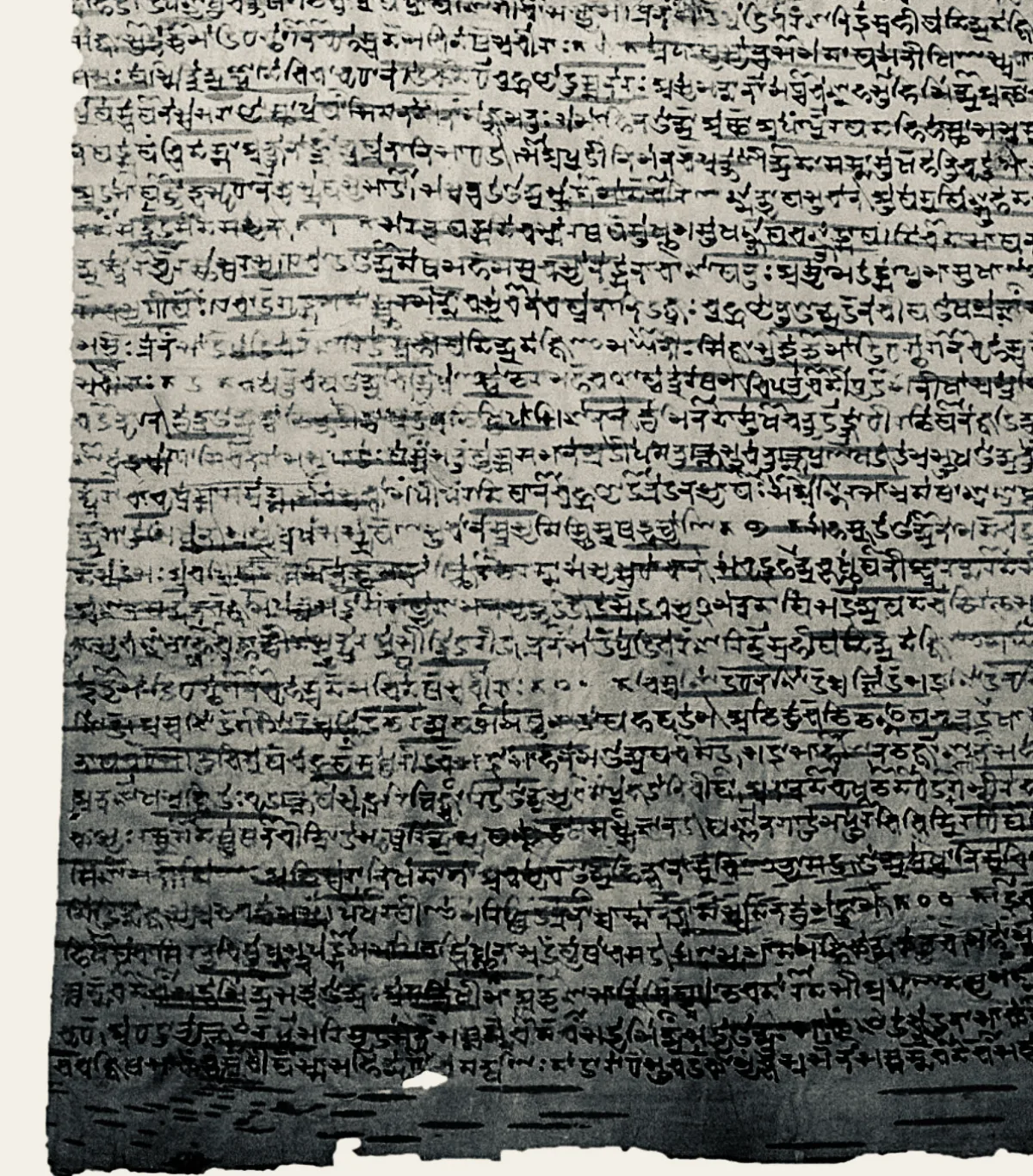 Fragment de manuscris al Rigvedei pe frunză de palmier, scriere śāradā, din Kashmir.