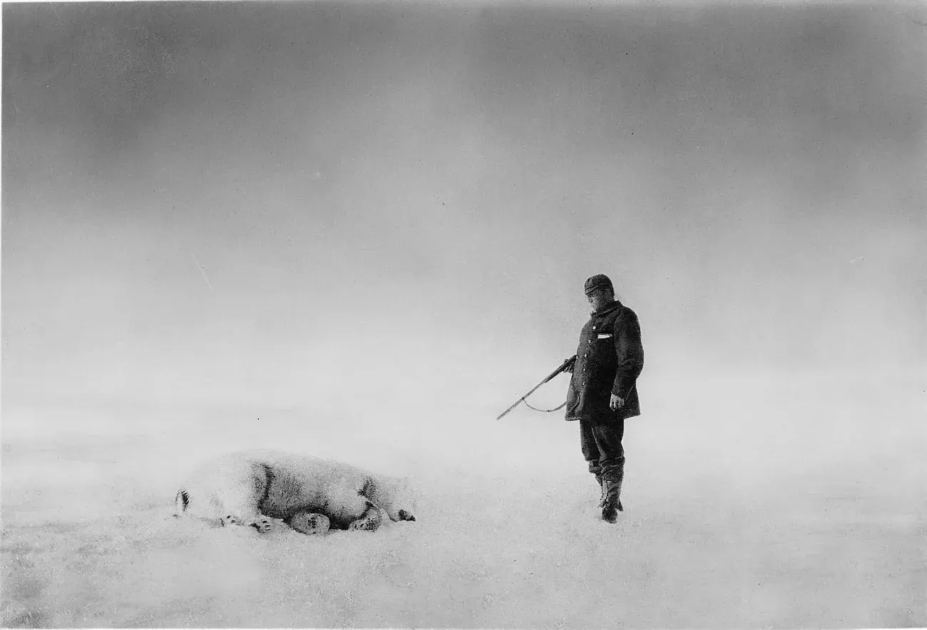 Andrée beside a polar bear they had shot. Bear meat went into their daily rations.