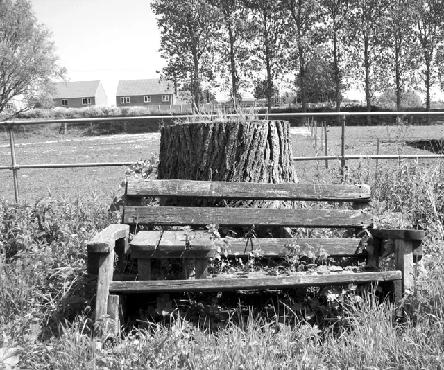 An old wooden bench with peeling paint