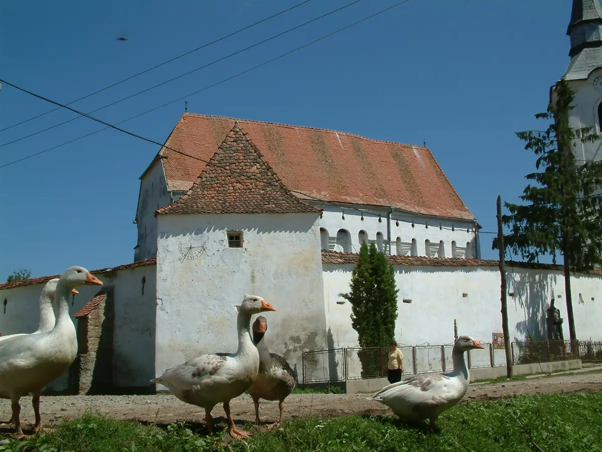 Dârjiu