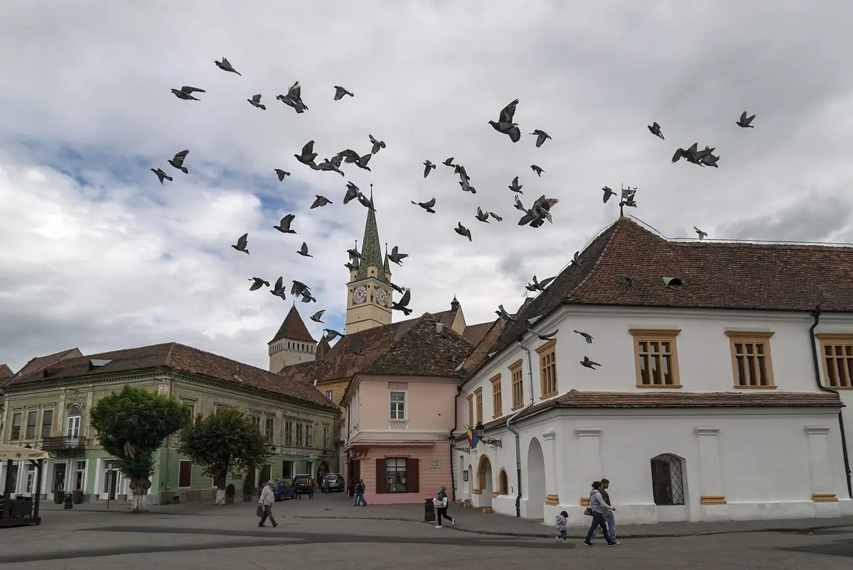 Mediaș