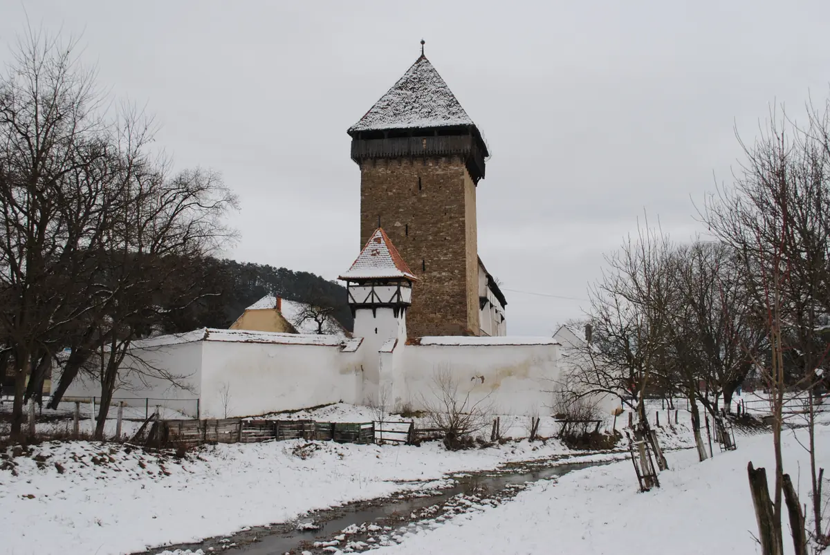 Stejărișu