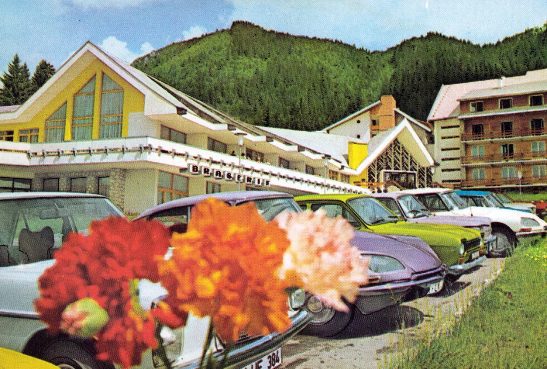 Colour postcard: orange flowers and parked cars in front of Hotel Teleferic, with the forest behind