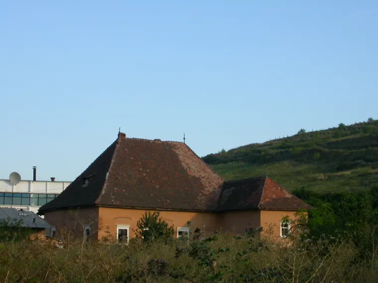 Castelul Eszterhazy, Șard