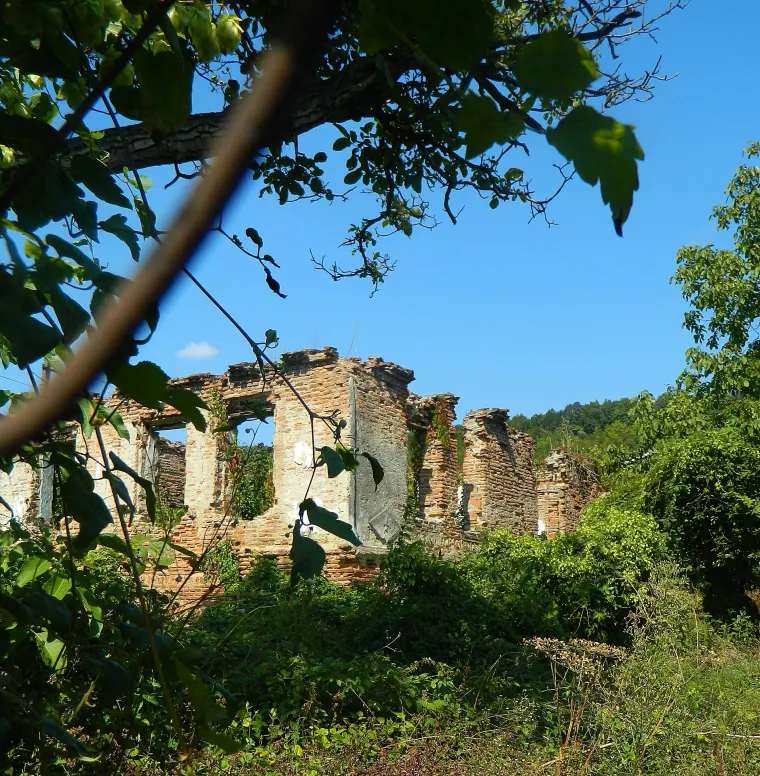 Conacul de vie brâncovenesc, Valea Mare-Podgoria