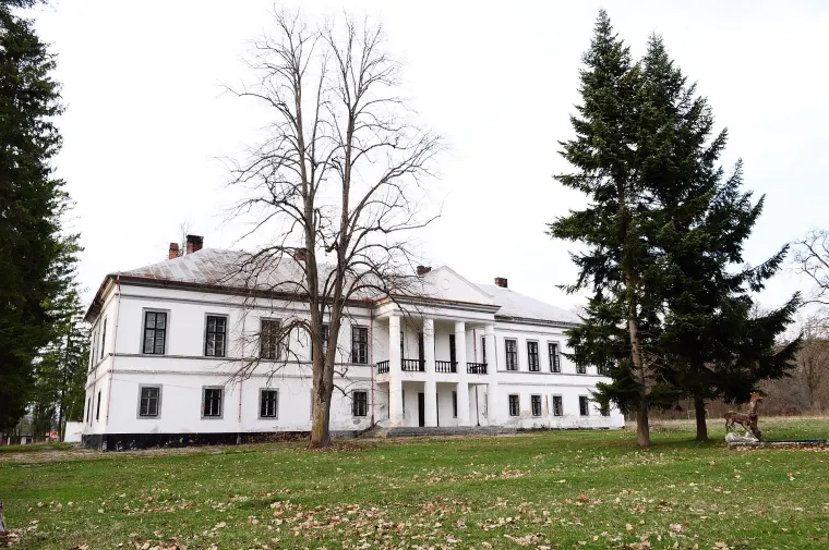 Castelul Salbek, Petriș