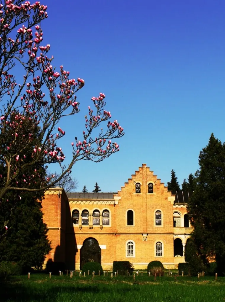 Castelul Cantacuzino - Pașcanu - Waldenburg, Lilieci