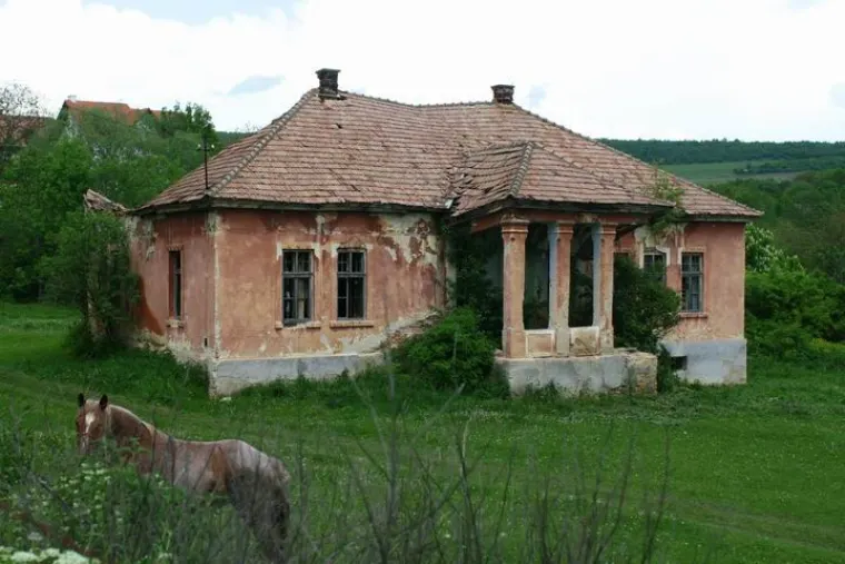 Castelul Veres, Pruniș