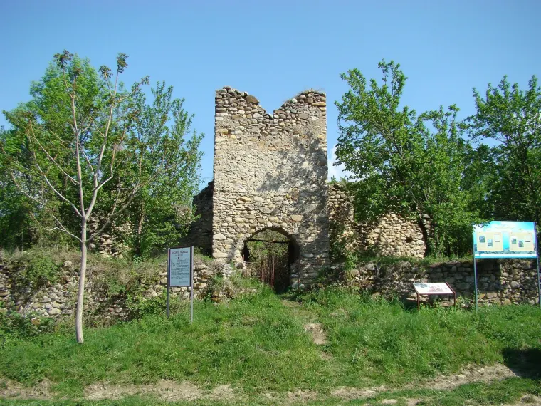 Curtea cnezilor Cândreș, Sălașu de Sus