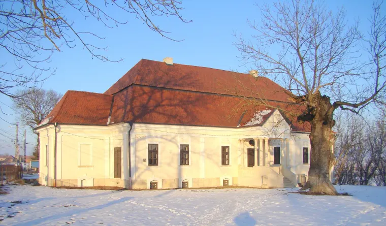 Conacul Zichy, Voivodeni