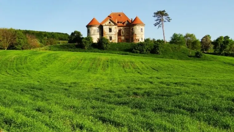 Castelul Pekri, Ozd