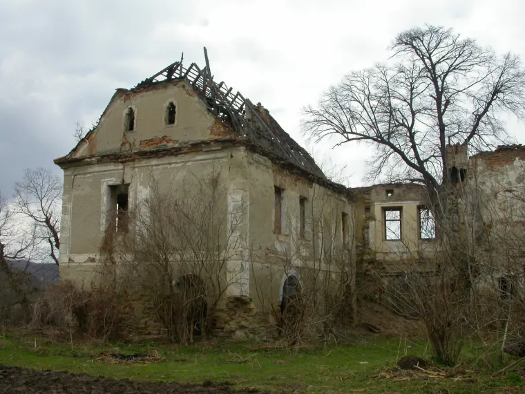 Castelul familiei Bolyai, Buia