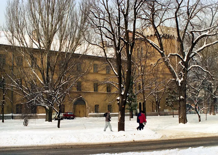 Castelul Huniade, Timișoara