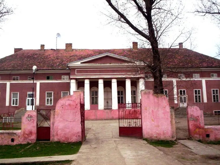 Conacul familiei Mocioni, Foeni