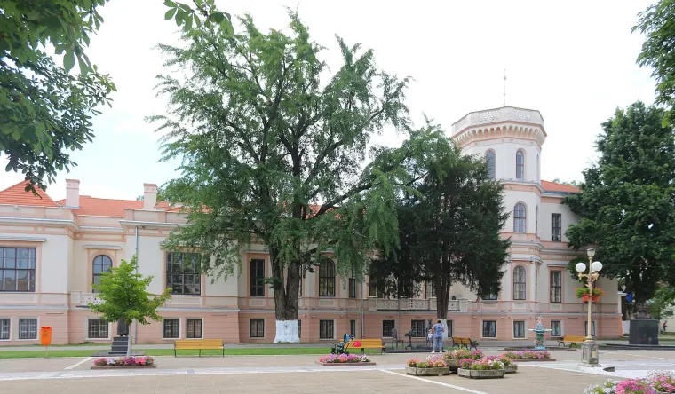 Conacul Nako, Sânnicolau Mare