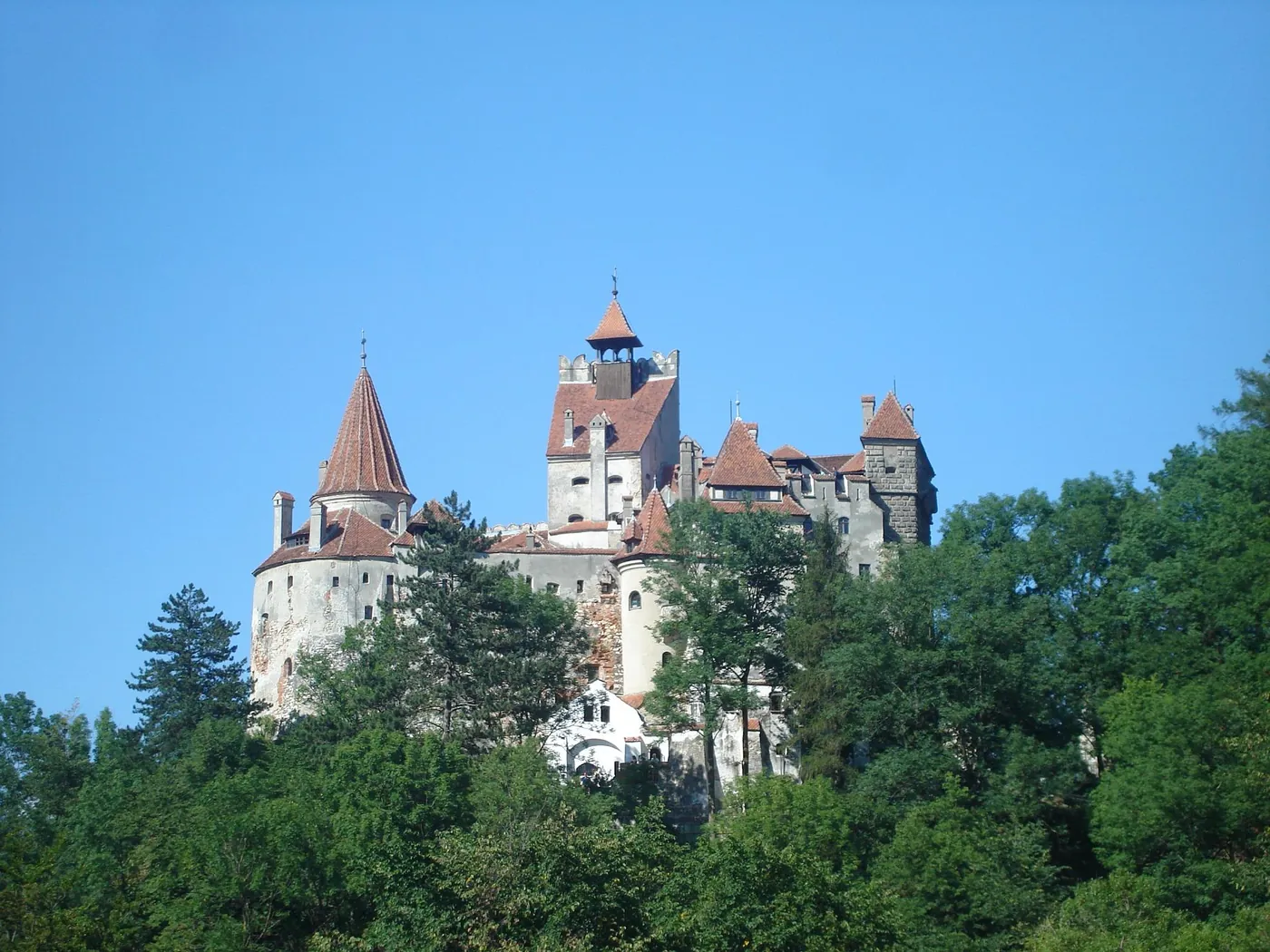 Bran Castle on its rock, seen from the valley.