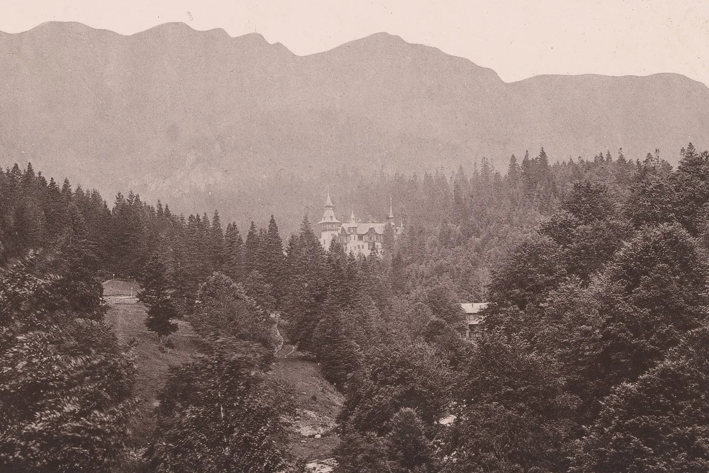 Valea Peleșului, 1881–1886: castelul abia se zărește printre brazi