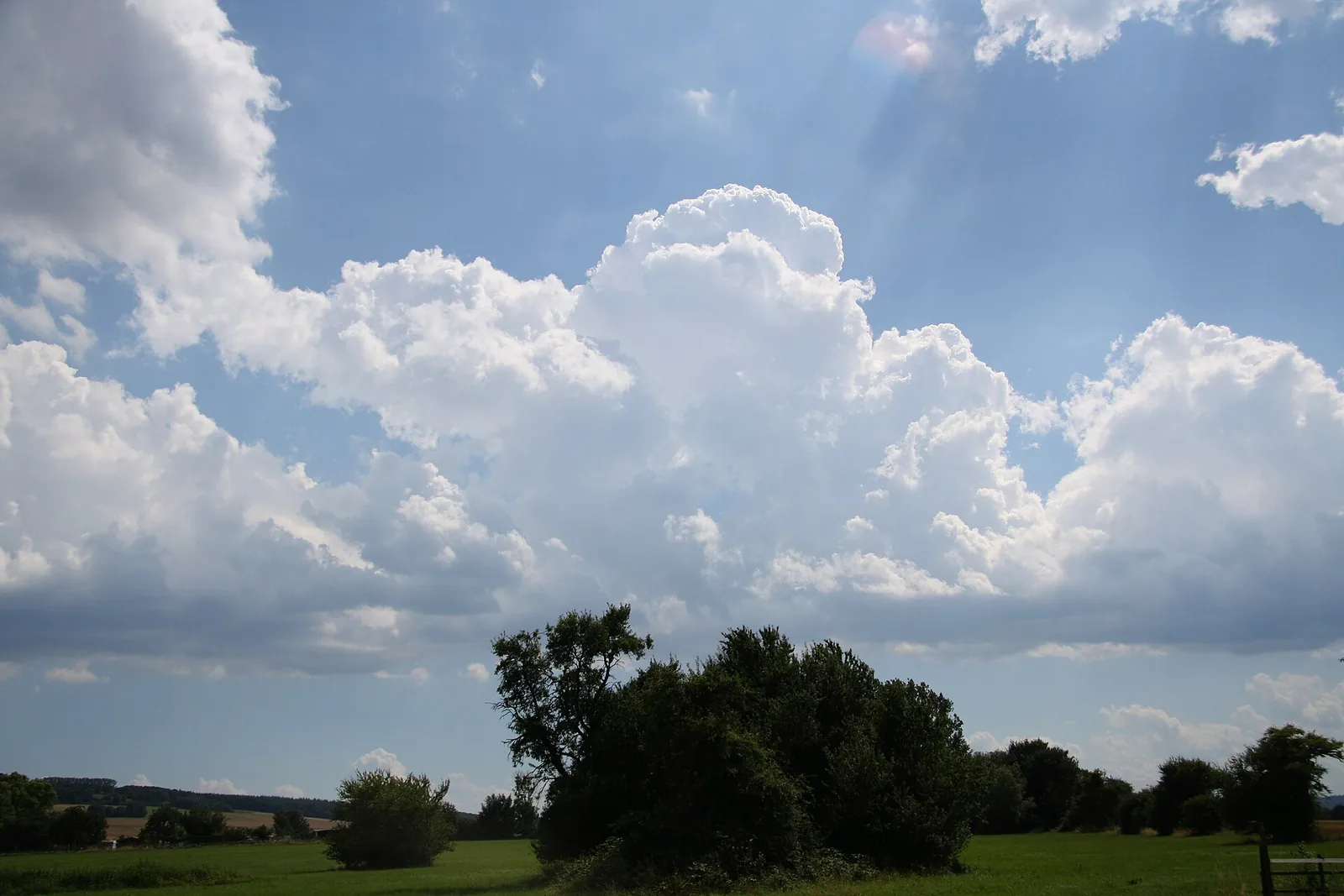 A tall, well-shaped towering cumulus above the horizon