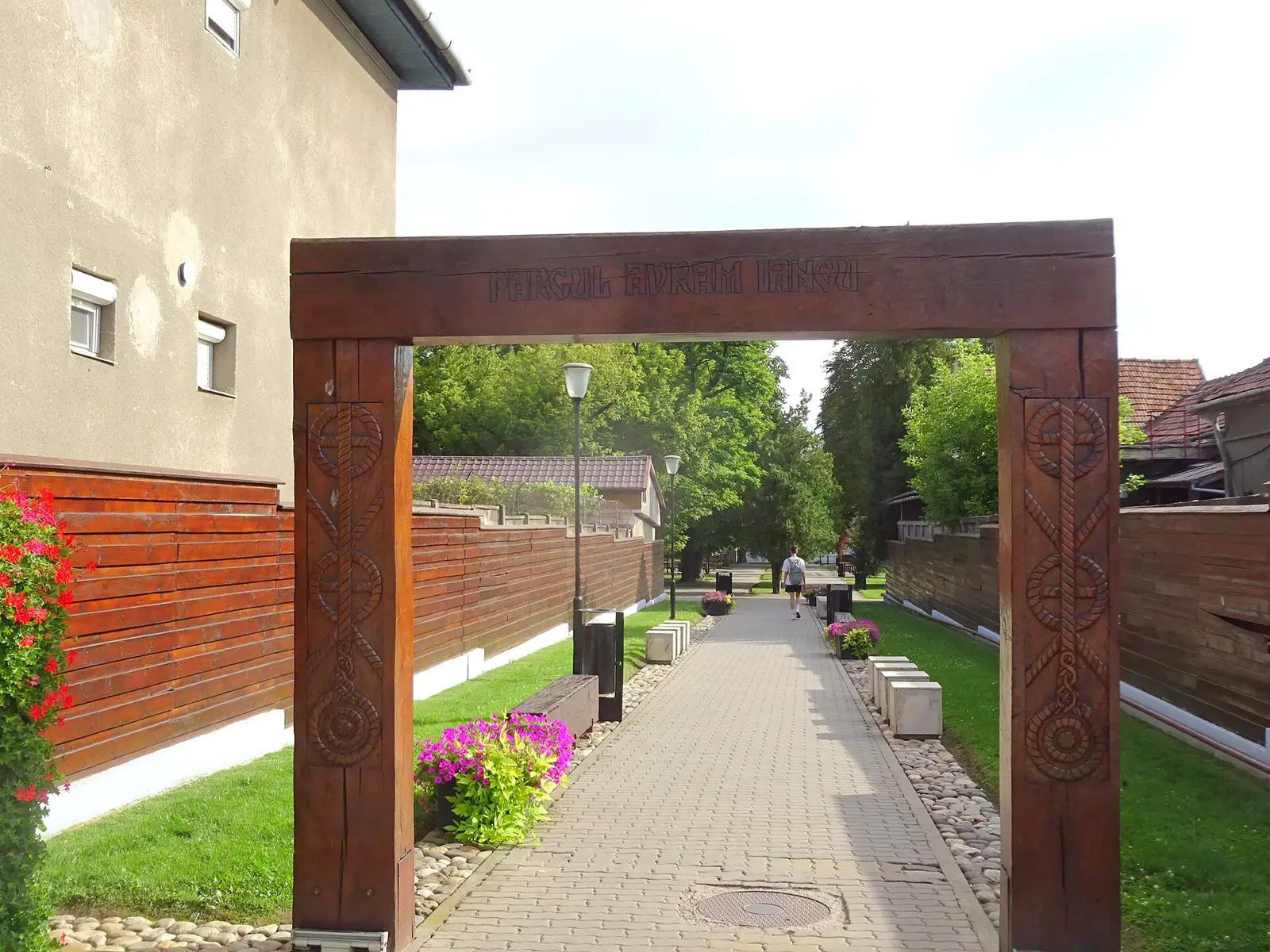 Stejarul lui Avram Iancu, în parcul din Blaj