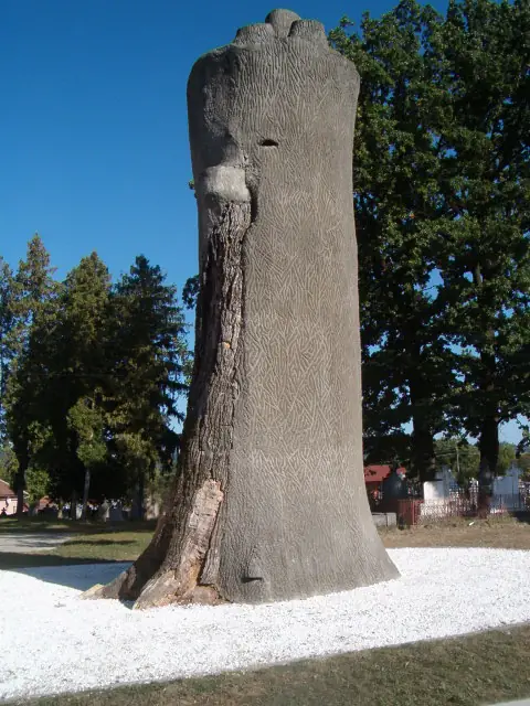 Trunchiul cimentat al Gorunului lui Horea, la Țebea