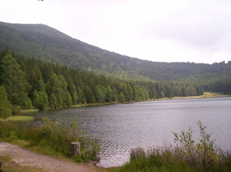 Lacul Sfânta Ana, un lac de crater înconjurat de pădure.