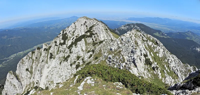 Cresta calcaroasă a Pietrei Craiului, văzută de pe versantul estic, cu abrupturi albe deasupra pădurilor.