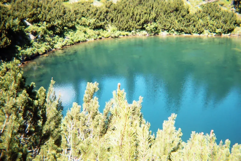 Lacul glaciar Șureanu, înconjurat de jnepeniș, în Masivul Șureanu.