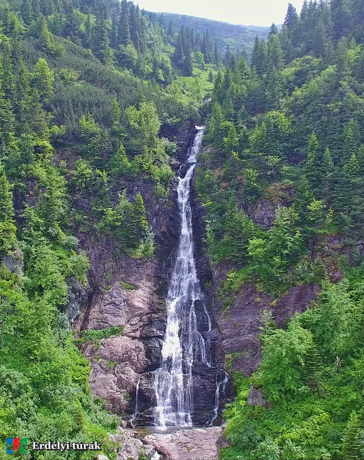 Cascada Scurtele