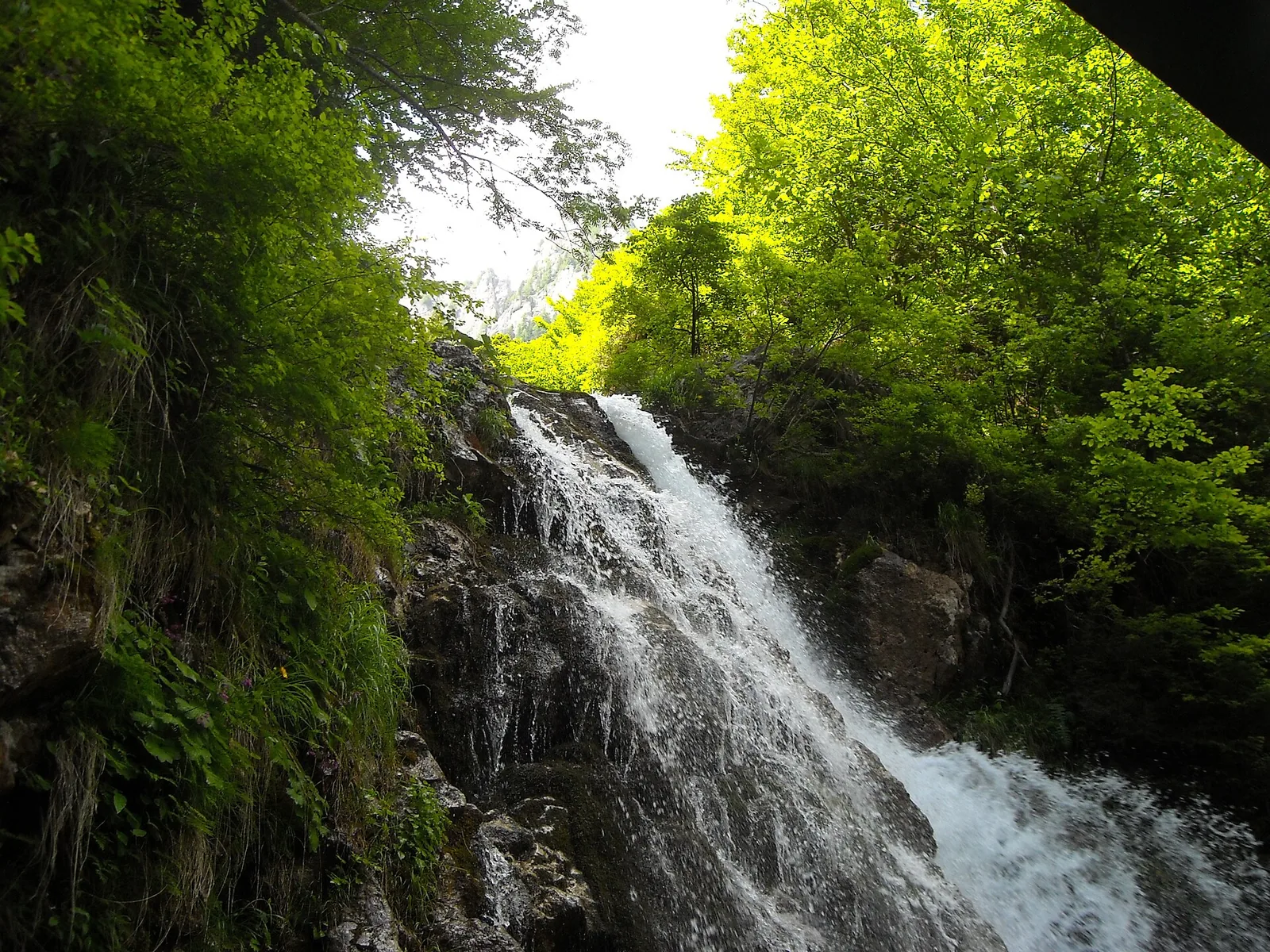 Cascada Urlătoarea
