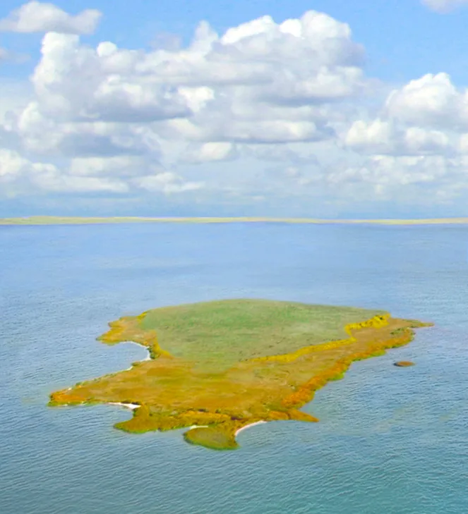 Insula Popina, o insulă galben-verzuie în apele albastre ale lacului Razim, vedere aeriană.