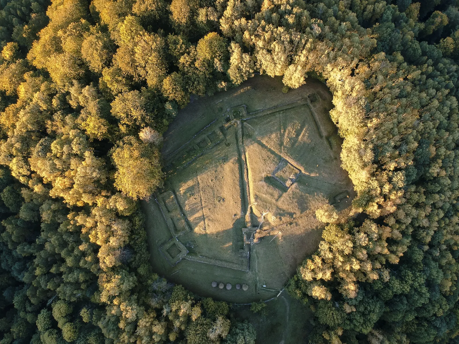 Cetatea Costești-Blidaru văzută de sus: cele două incinte cu turnuri, într-o poiană înconjurată de pădure
