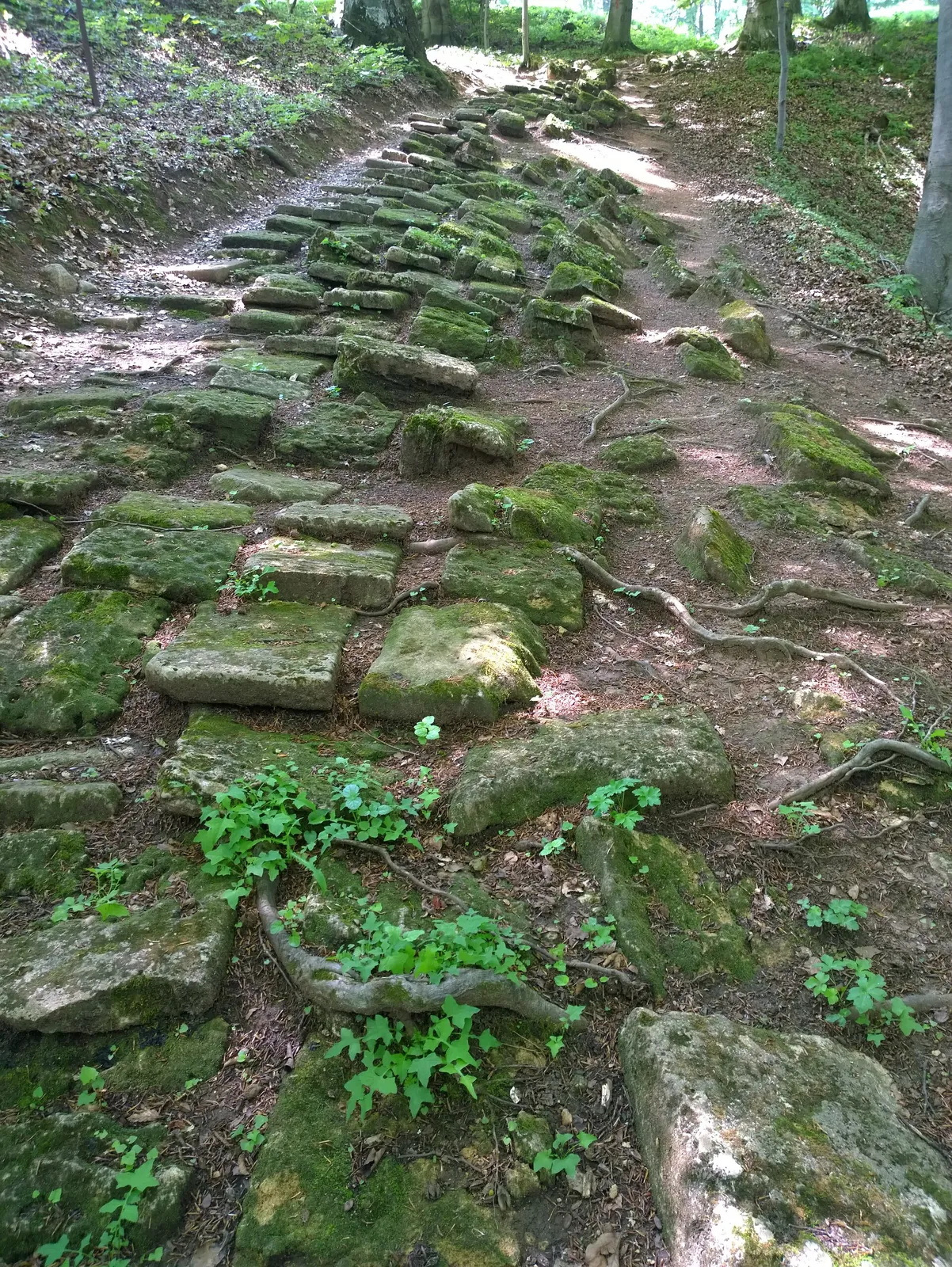 Drumul antic pavat cu lespezi de calcar, acoperite de mușchi, urcând spre intrarea în cetatea Piatra Roșie