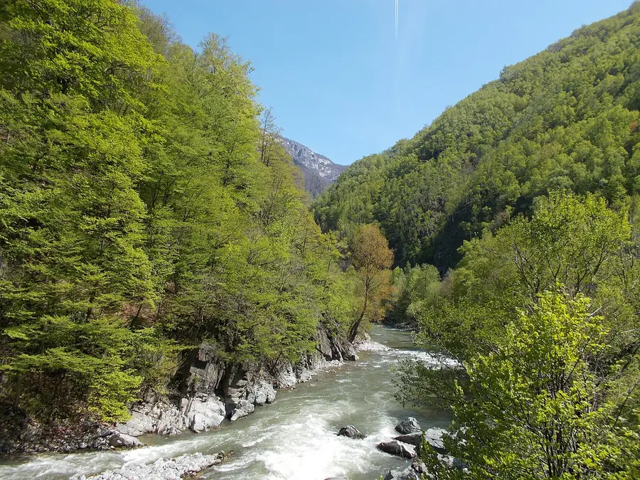 Valea îngustă a Jiului, între munți împăduriți.