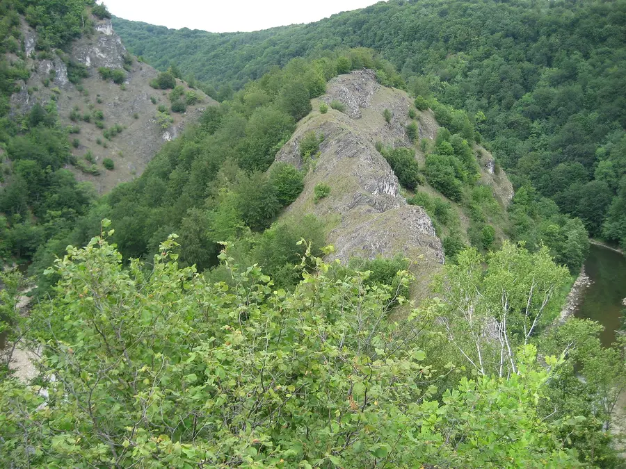 Creastă stâncoasă și râu în Cheile Lăpușului.