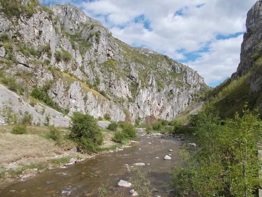 Pereți de calcar în Cheile Sohodolului.