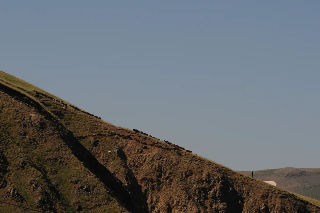 A shepherd with his flock on a stony slope