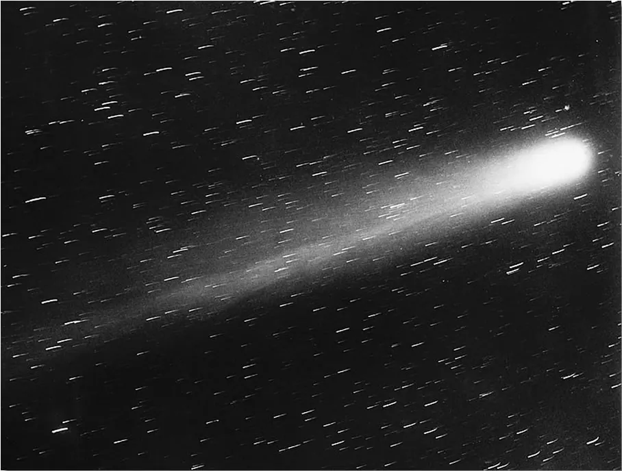Black-and-white photograph of a comet with a long straight tail among star trails.