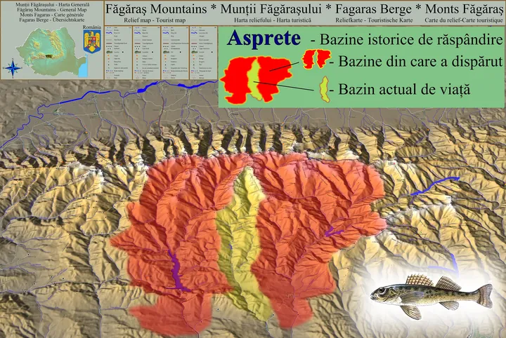 Fagaras relief map with the asprete's historic and current basins.