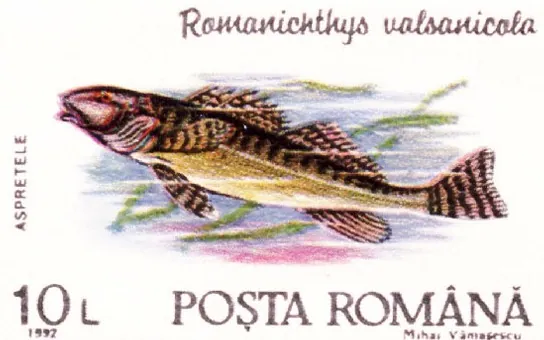 1992 Romanian postage stamp showing the asprete.