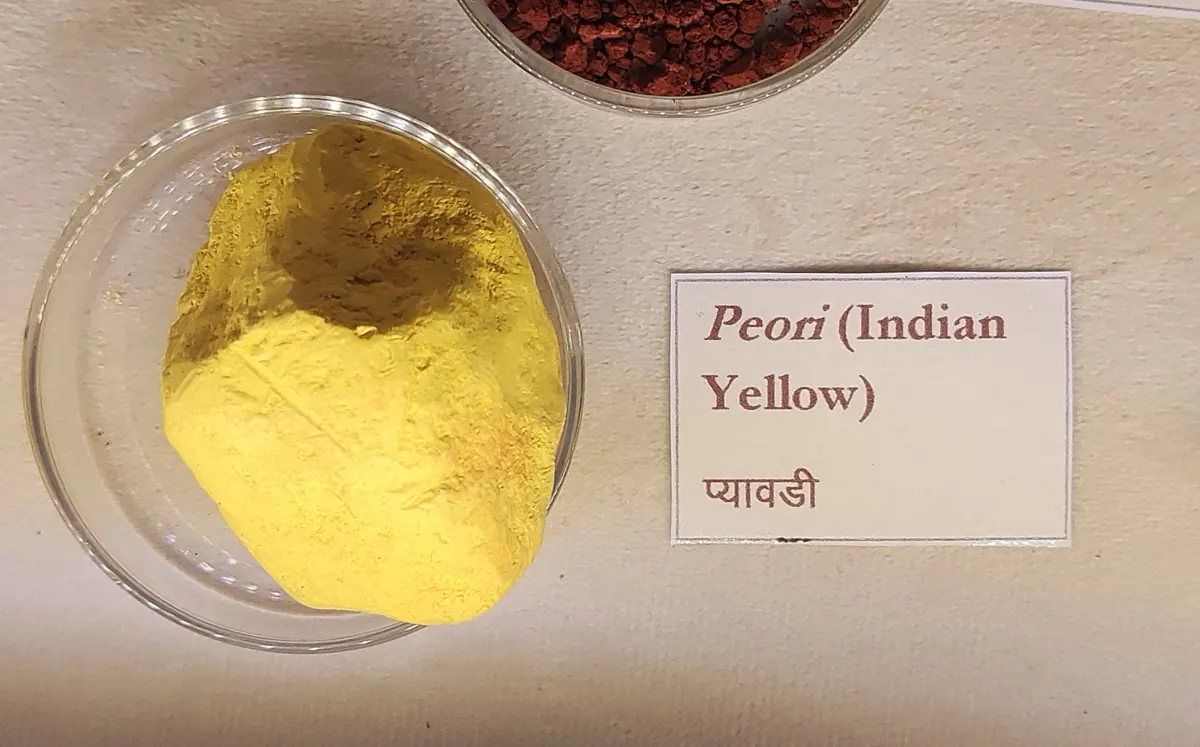 Un bulgăre de galben indian („peori”) expus la muzeul Palatului Orașului din Udaipur.