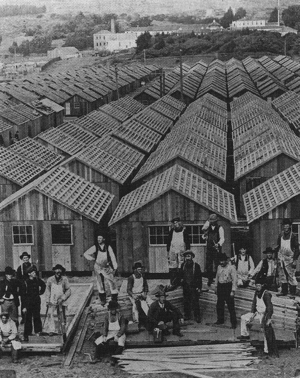 Shelters built during relief after the earthquake.