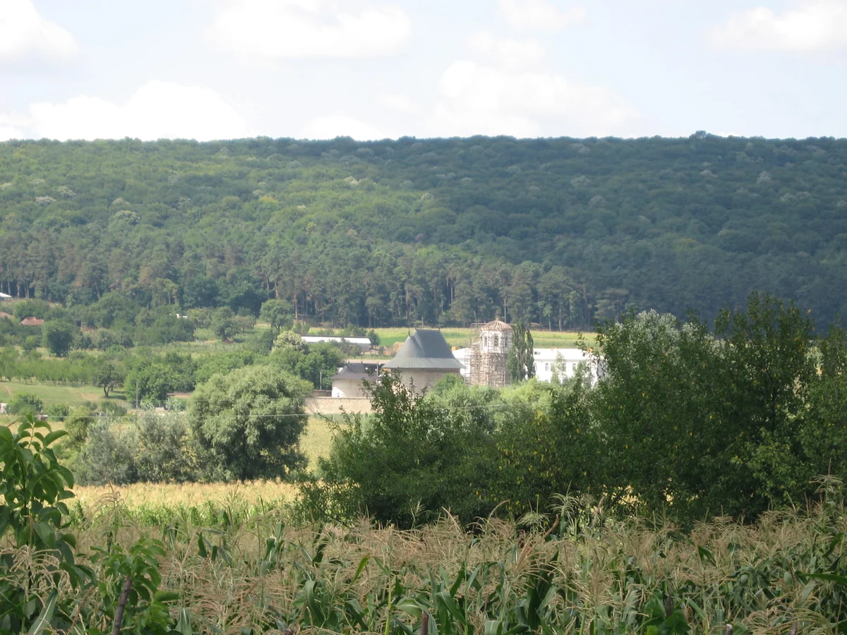 The monastery and wooded slope in 2009. Trees affect a view from ground level; the elevation experiment above does not reproduce their shapes. Photograph: Cezar Suceveanu, CC BY 3.0, Wikimedia Commons.