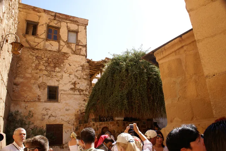 A dense green bramble spilling over a stone wall in a monastery courtyard.
