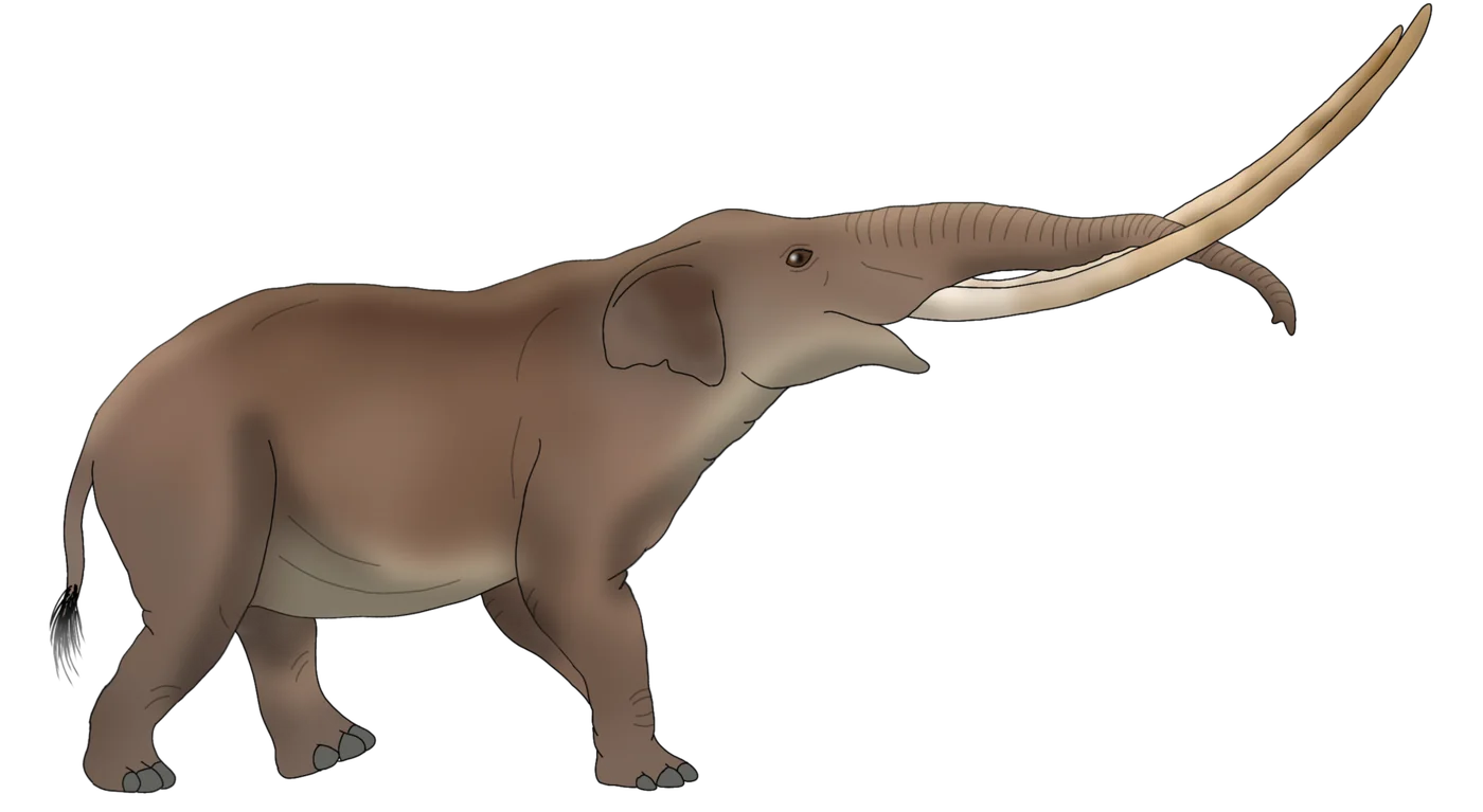 Reconstituire a lui Mammut borsoni: un animal cu blană scurtă, brună, și doi colți lungi, aproape drepți, ridicați deasupra trompei.