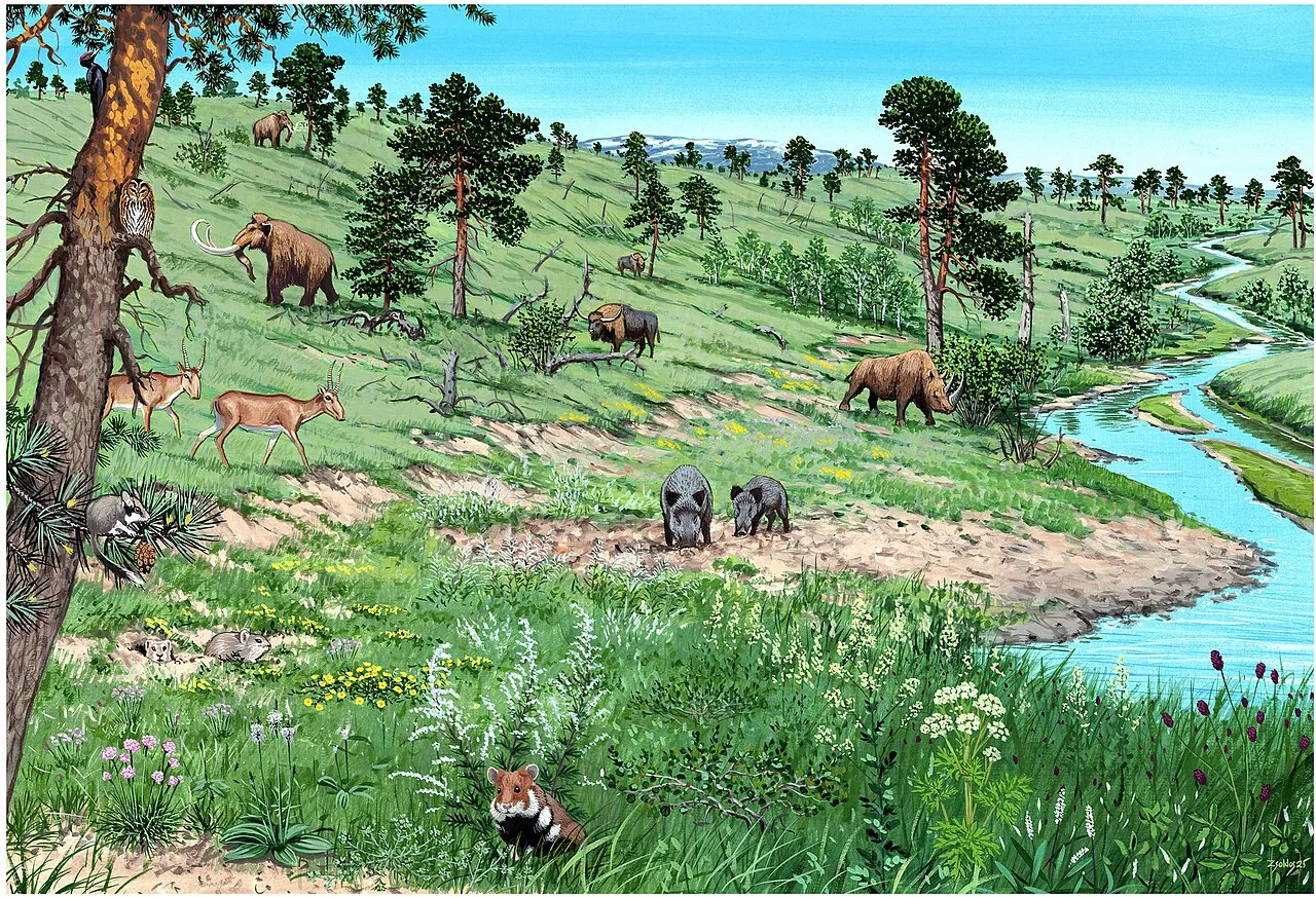 Peisaj pictat din Europa Centrală în ultima glaciațiune: un mamut lânos pe un deal cu pini, un bizon și un rinocer lânos.