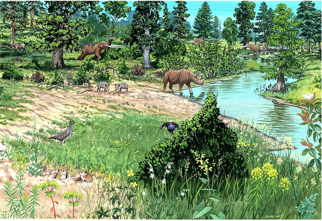 Peisaj pictat din Europa Centrală în Pliocen: un mastodont cu colți lungi printre copaci, un rinocer la apă și păsări în iarbă.
