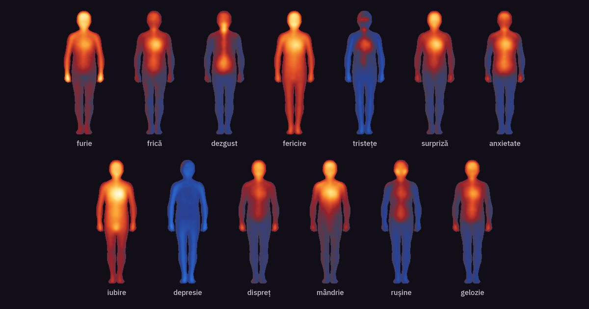 Harta medie a celor 13 emoții: la furie sunt colorate capul, pieptul și mâinile; la iubire, pieptul și abdomenul; la depresie, aproape tot corpul e albastru.