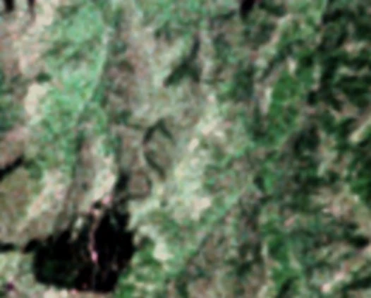 Valea Șesei și iazul de steril văzute de satelitul Landsat în 1975